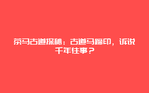 茶马古道探秘：古道马蹄印，诉说千年往事？