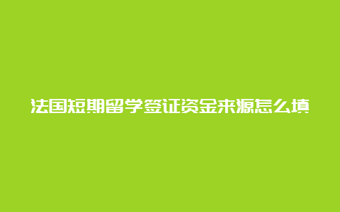 法国短期留学签证资金来源怎么填