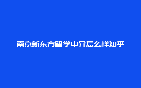 南京新东方留学中介怎么样知乎