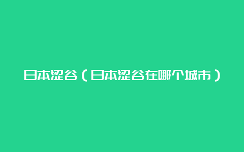 日本涩谷（日本涩谷在哪个城市）