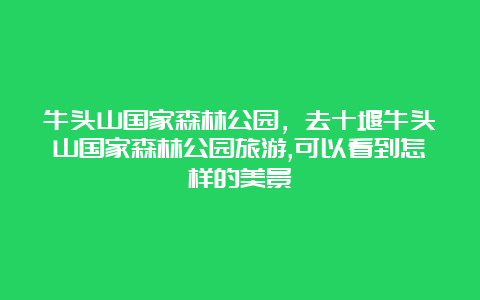 牛头山国家森林公园，去十堰牛头山国家森林公园旅游,可以看到怎样的美景