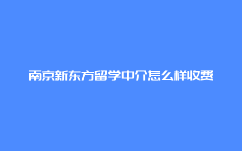 南京新东方留学中介怎么样收费