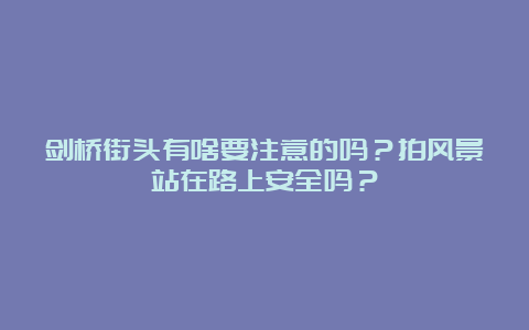 剑桥街头有啥要注意的吗？拍风景站在路上安全吗？