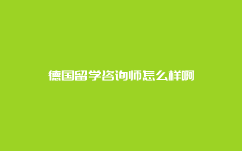 德国留学咨询师怎么样啊