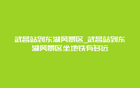 武昌站到东湖风景区_武昌站到东湖风景区坐地铁有多远