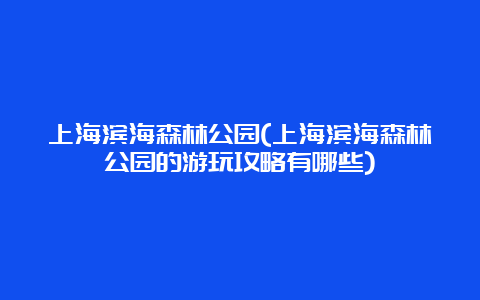 上海滨海森林公园(上海滨海森林公园的游玩攻略有哪些)