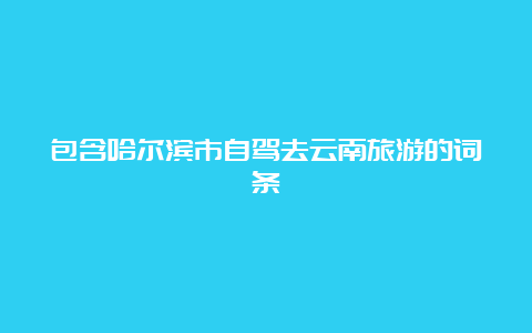 包含哈尔滨市自驾去云南旅游的词条