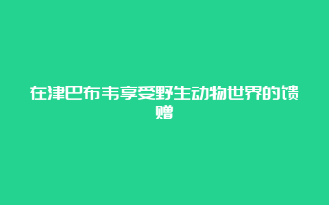 在津巴布韦享受野生动物世界的馈赠