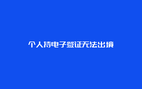 个人持电子签证无法出境