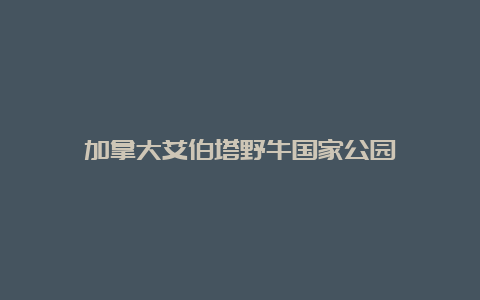 加拿大艾伯塔野牛国家公园