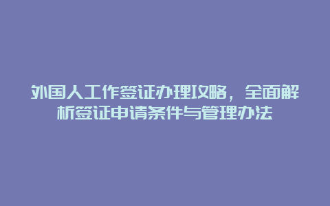 外国人工作签证办理攻略，全面解析签证申请条件与管理办法