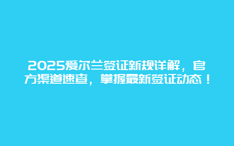 2025爱尔兰签证新规详解，官方渠道速查，掌握最新签证动态！