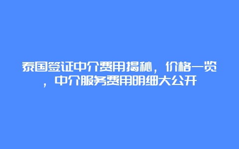 泰国签证中介费用揭秘，价格一览，中介服务费用明细大公开