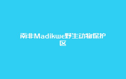 南非Madikwe野生动物保护区