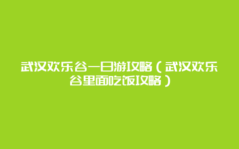 武汉欢乐谷一日游攻略（武汉欢乐谷里面吃饭攻略）