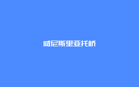 威尼斯里亚托桥