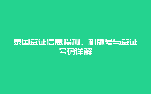 泰国签证信息揭秘，机版号与签证号码详解