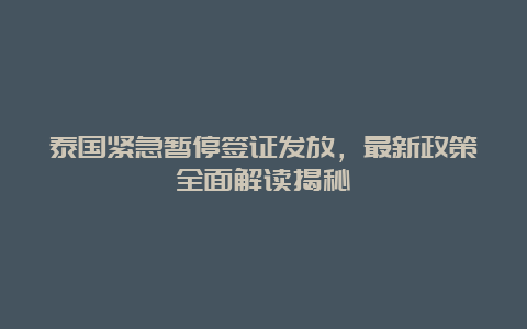 泰国紧急暂停签证发放，最新政策全面解读揭秘