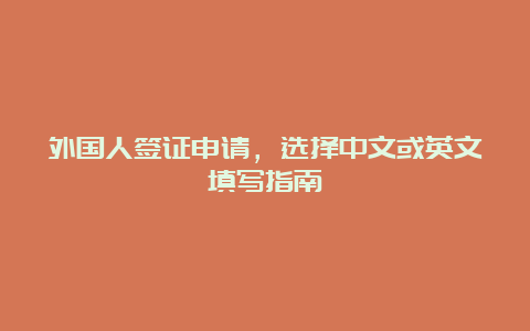 外国人签证申请，选择中文或英文填写指南