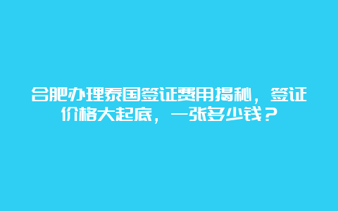 合肥办理泰国签证费用揭秘，签证价格大起底，一张多少钱？