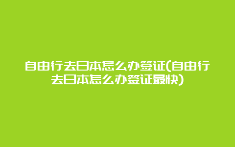 自由行去日本怎么办签证(自由行去日本怎么办签证最快)