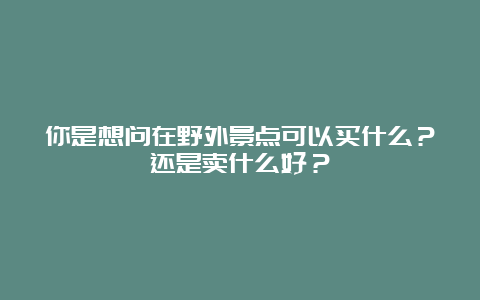 你是想问在野外景点可以买什么？还是卖什么好？