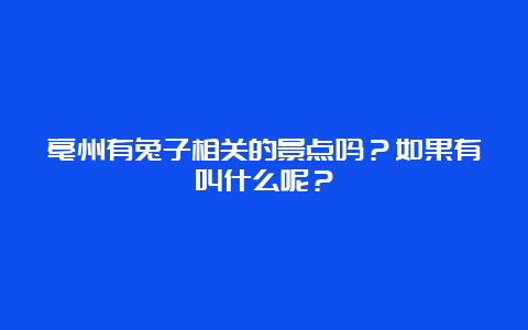 亳州有兔子相关的景点吗？如果有叫什么呢？