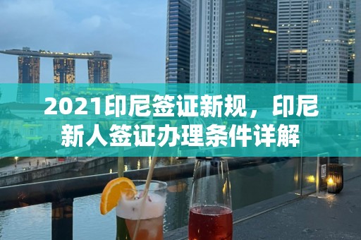 2021印尼签证新规，印尼新人签证办理条件详解