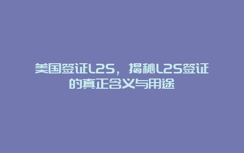 美国签证L2S，揭秘L2S签证的真正含义与用途