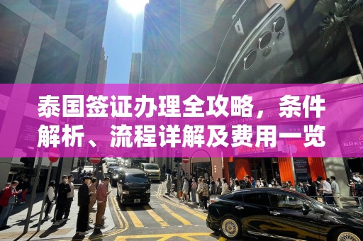 泰国签证办理全攻略，条件解析、流程详解及费用一览