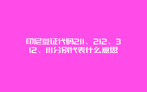 印尼签证代码211、212、312、111分别代表什么意思