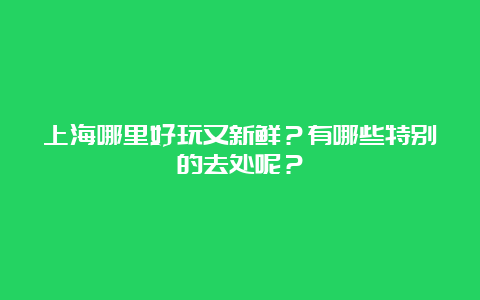 上海哪里好玩又新鲜？有哪些特别的去处呢？