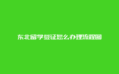 东北留学签证怎么办理流程图