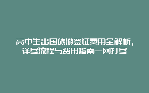 高中生出国旅游签证费用全解析，详尽流程与费用指南一网打尽