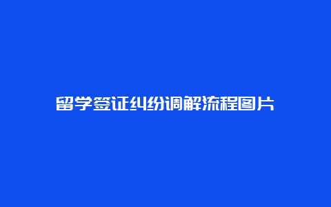 留学签证纠纷调解流程图片