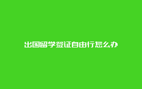 出国留学签证自由行怎么办