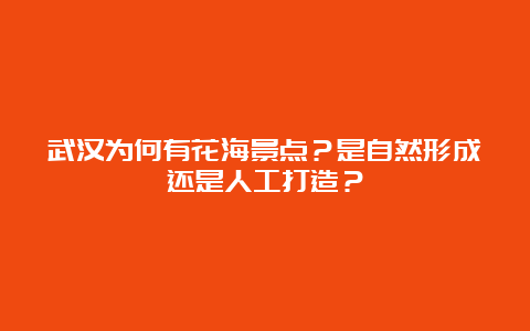 武汉为何有花海景点？是自然形成还是人工打造？