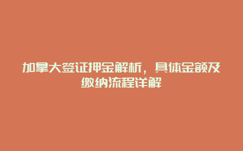 加拿大签证押金解析，具体金额及缴纳流程详解