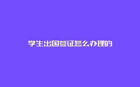 学生出国签证怎么办理的