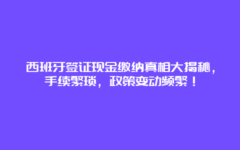 西班牙签证现金缴纳真相大揭秘，手续繁琐，政策变动频繁！