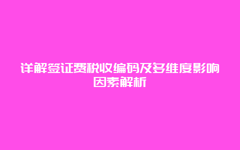 详解签证费税收编码及多维度影响因素解析