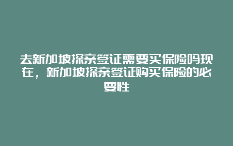 去新加坡探亲签证需要买保险吗现在，新加坡探亲签证购买保险的必要性