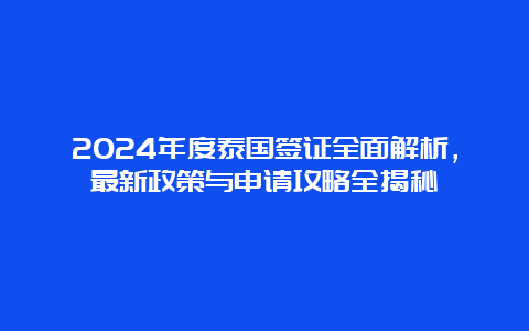 2024年度泰国签证全面解析，最新政策与申请攻略全揭秘