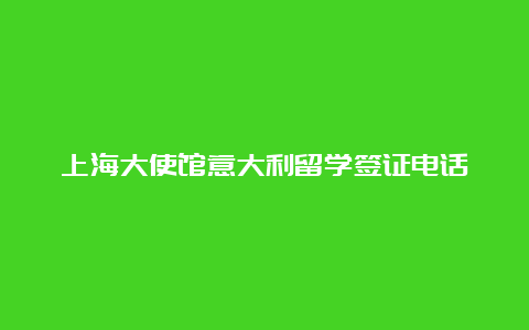 上海大使馆意大利留学签证电话