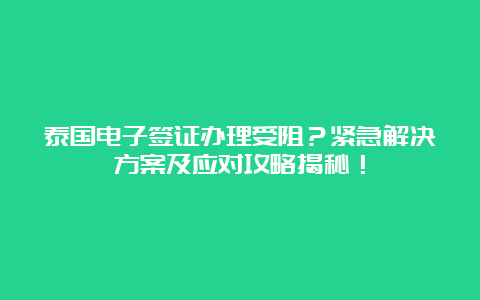 泰国电子签证办理受阻？紧急解决方案及应对攻略揭秘！