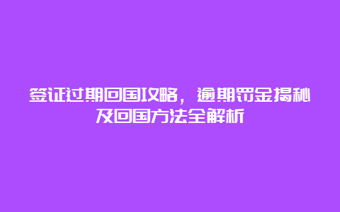 签证过期回国攻略，逾期罚金揭秘及回国方法全解析