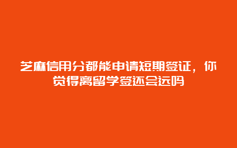 芝麻信用分都能申请短期签证，你觉得离留学签还会远吗