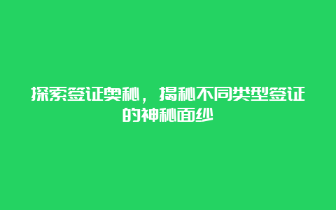 探索签证奥秘，揭秘不同类型签证的神秘面纱