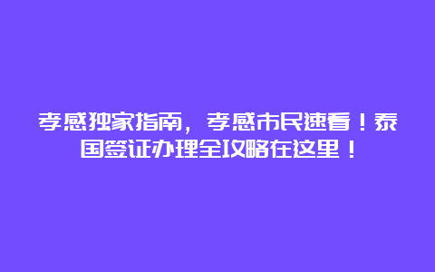 孝感独家指南，孝感市民速看！泰国签证办理全攻略在这里！