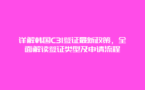 详解韩国C31签证最新政策，全面解读签证类型及申请流程